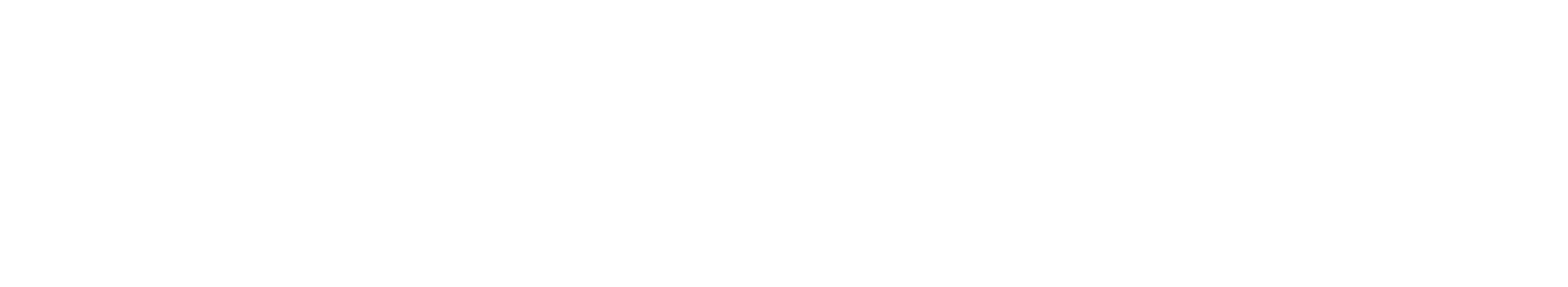 safety-net-logo-rev