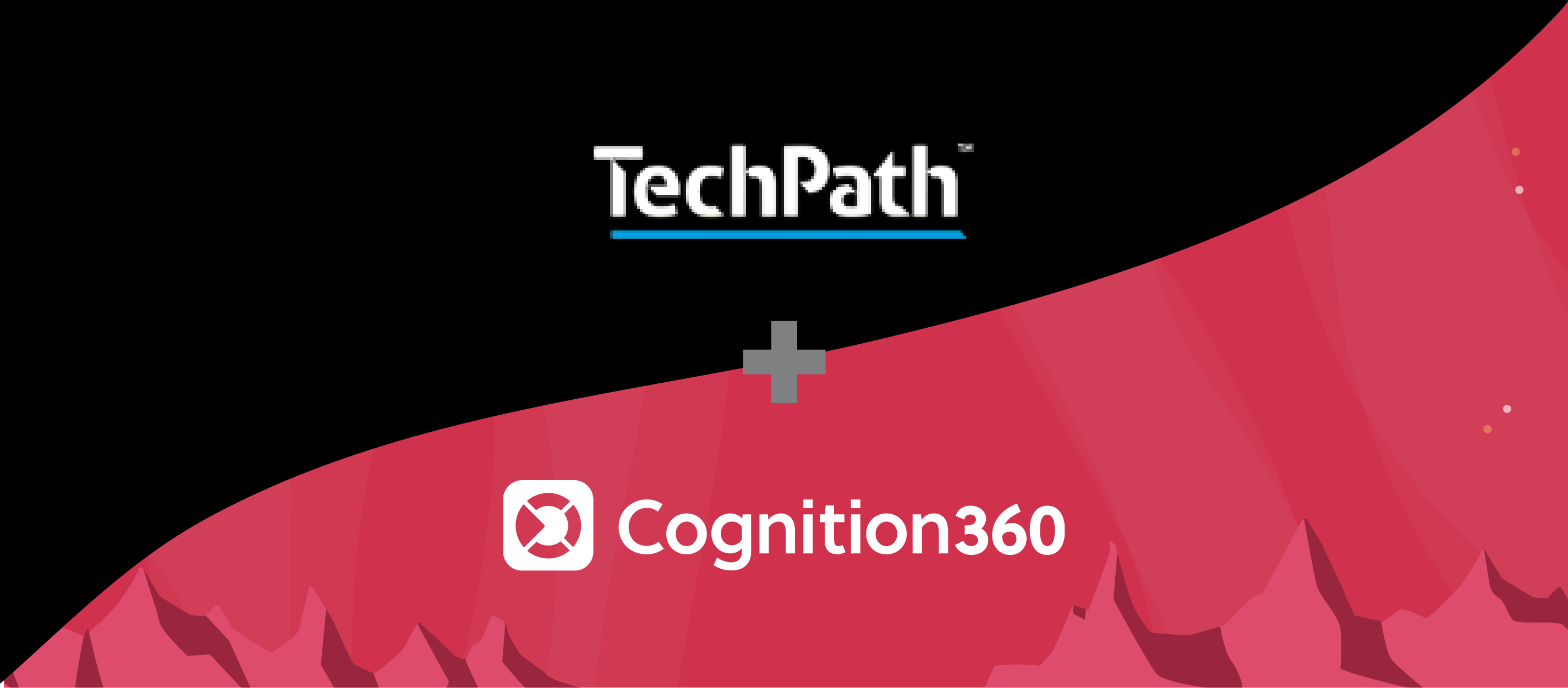Cognition360, Business Intelligence, TechPath, Case study